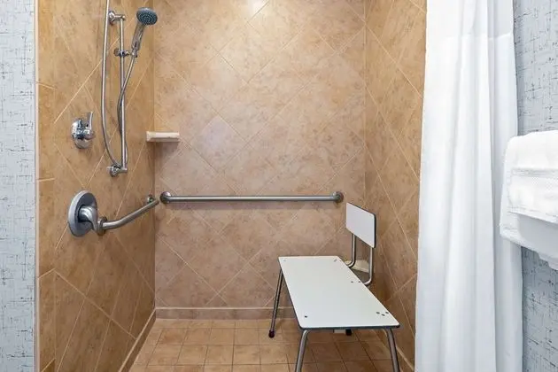 Stüdyo, Engellilere Uygun, Sigara İçilmez (Hearing Accessible, W/Roll In Shower)