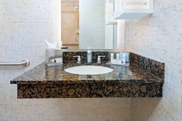 Stüdyo, Engellilere Uygun, Sigara İçilmez (Hearing Accessible, W/Roll In Shower)