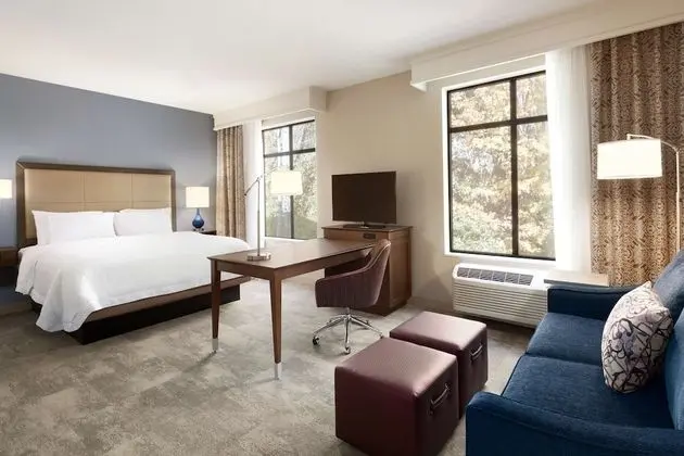 Stüdyo, 1 En Büyük (King) Boy Yatak ve Çekyat, Buzdolabı ve Mikrodalga (Wet bar)