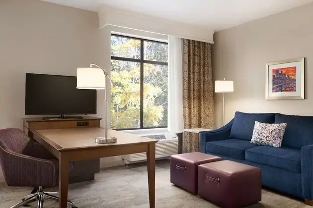 Stüdyo, 1 En Büyük (King) Boy Yatak ve Çekyat, Buzdolabı ve Mikrodalga (Wet bar)