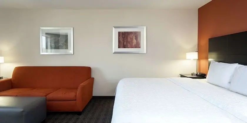 1 King Bed with Sofa Bed