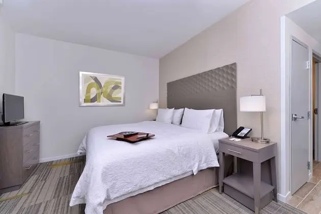 Oda, 1 En Büyük (King) Boy Yatak, Sigara İçilmez