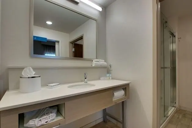 Stüdyo, 1 En Büyük (King) Boy Yatak, Engellilere Uygun (Roll-in Shower)