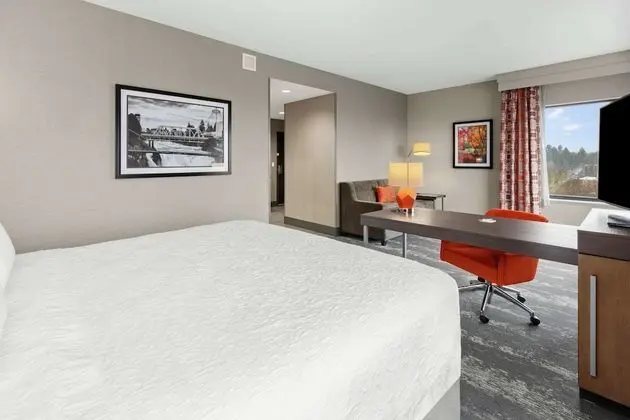 Stüdyo, 1 En Büyük (King) Boy Yatak, Buzdolabı ve Mikrodalga (Wet bar)