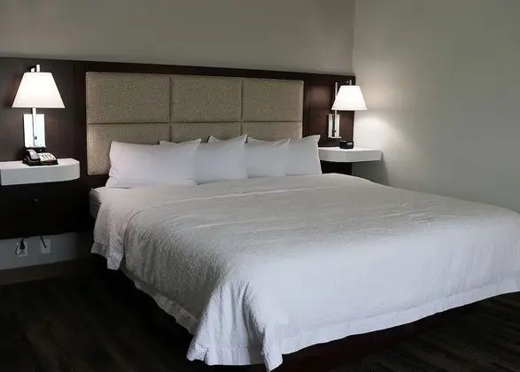 Oda, 1 En Büyük (King) Boy Yatak ve Çekyat, Sigara İçilmez (Study)