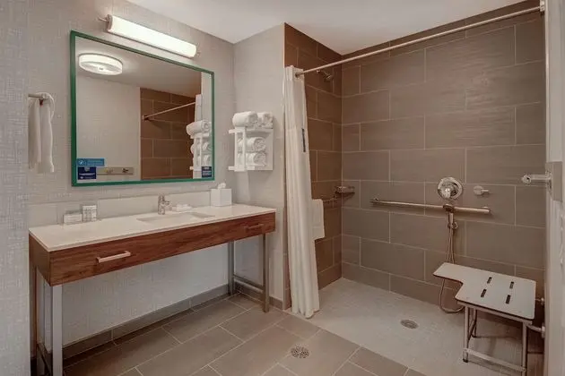 Standard Tek Kişilik Oda, 1 En Büyük (King) Boy Yatak, Engellilere Uygun, Buzdolabı ve Mikrodalga