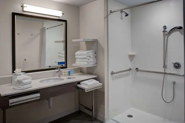 Stüdyo, 1 En Büyük (King) Boy Yatak, Engellilere Uygun, Sigara İçilmez (Roll-in Shower)