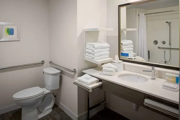 Stüdyo, 1 En Büyük (King) Boy Yatak, Engellilere Uygun, Sigara İçilmez (Roll-in Shower)