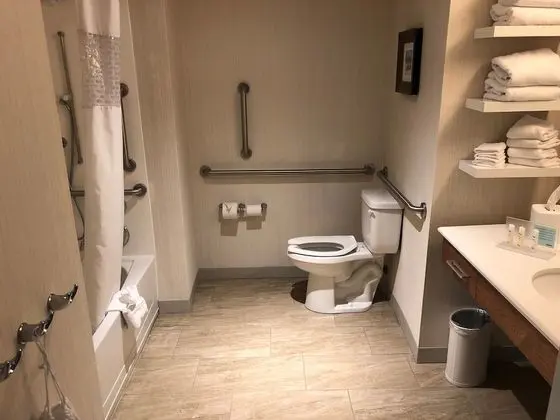 Stüdyo, 1 En Büyük (King) Boy Yatak, Engellilere Uygun, Sigara İçilmez (Roll in shower)