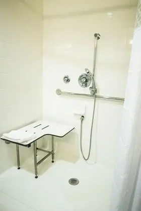 Oda, 1 En Büyük (King) Boy Yatak, Engellilere Uygun, Sigara İçilmez (w/ roll-in shower)