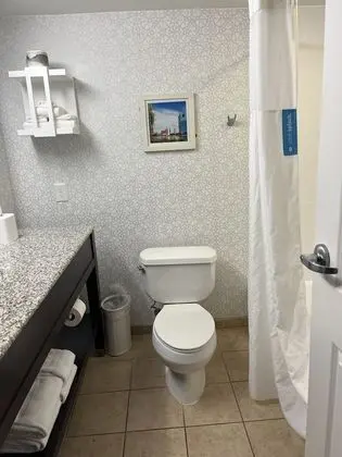 Oda, 1 Büyük (Queen) Boy Yatak, Engellilere Uygun, Sigara İçilmez (Accessible Tub)