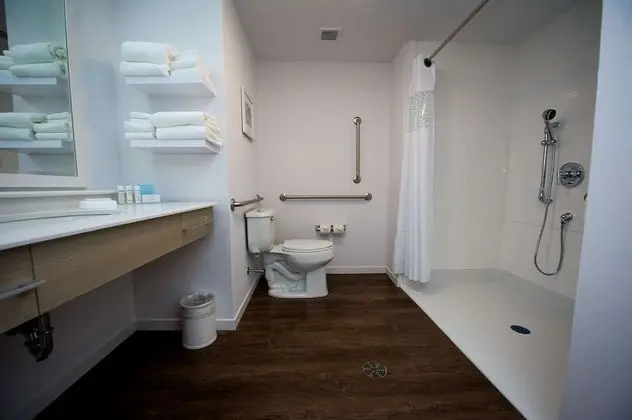 Stüdyo, 1 En Büyük (King) Boy Yatak, Engellilere Uygun, Sigara İçilmez (Roll In Shower)