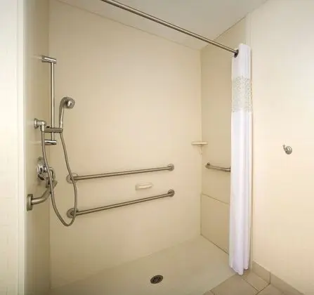 Stüdyo, 1 En Büyük (King) Boy Yatak, Engellilere Uygun (Mobility/Hearing, Roll-in Shower)