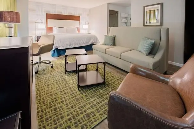 Room, 1 King Bed, Refrigerator, Stadium view