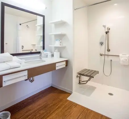 Stüdyo, 1 En Büyük (King) Boy Yatak, Engellilere Uygun, Sigara İçilmez (Roll-in Shower)