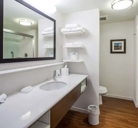 Stüdyo, 1 En Büyük (King) Boy Yatak, Sigara İçilmez, Buzdolabı ve Mikrodalga (Wet Bar)