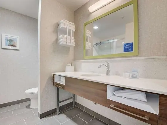 Stüdyo, 1 En Büyük (King) Boy Yatak, Engellilere Uygun (Roll-In Shower)