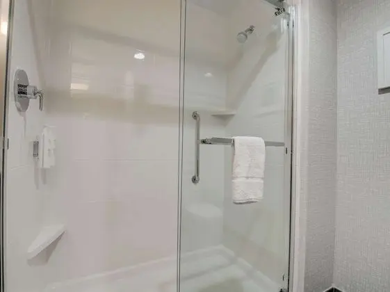 Stüdyo, 1 En Büyük (King) Boy Yatak, Engellilere Uygun (Roll-In Shower)