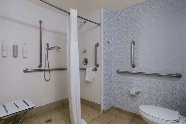 Stüdyo, 1 En Büyük (King) Boy Yatak, Engellilere Uygun (Mobility & Hearing, Roll-In Shower)