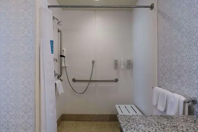 Stüdyo, 1 En Büyük (King) Boy Yatak, Engellilere Uygun (Mobility & Hearing, Roll-In Shower)