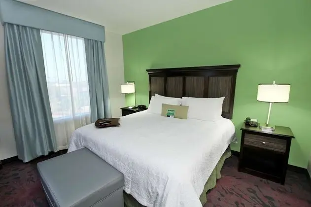 Stüdyo Süit, 1 En Büyük (King) Boy Yatak