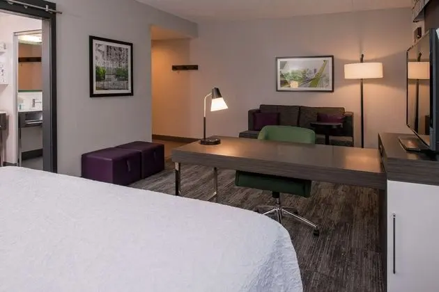 Stüdyo, 1 En Büyük (King) Boy Yatak, Buzdolabı ve Mikrodalga (Wet bar)