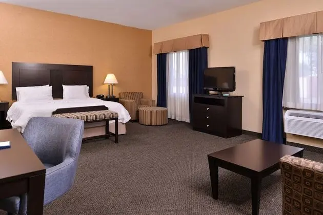 Stüdyo Süit, 1 En Büyük (King) Boy Yatak ve Çekyat