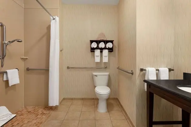 Oda, 1 En Büyük (King) Boy Yatak, Engellilere Uygun, Sigara İçilmez