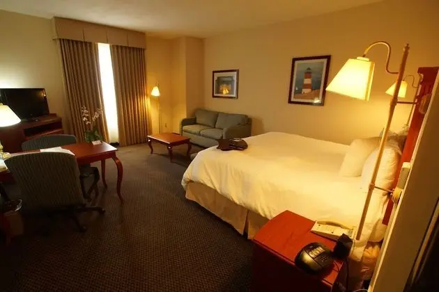 Bir King-Size Yataklı Oda (Sigara İçilmez)