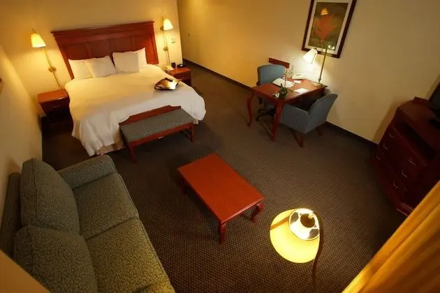 Bir King-Size Yataklı Oda (Sigara İçilmez)