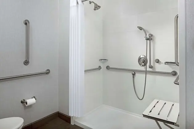 Room, 1 King Bed, Accessible, City View (Hearing)