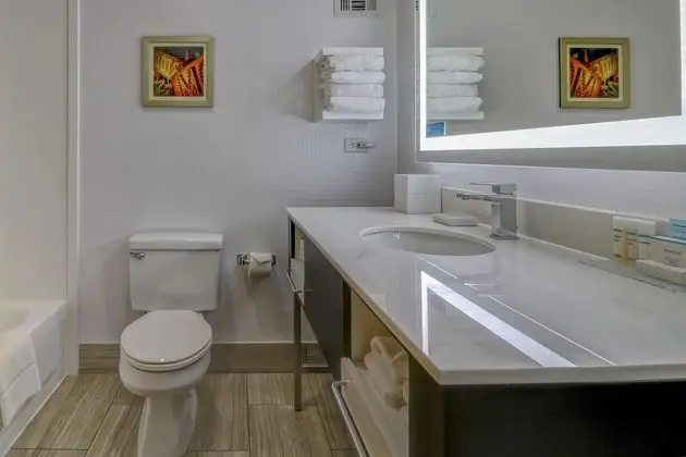 Oda, 1 En Büyük (King) Boy Yatak, Sigara İçilmez (Conference Suite)