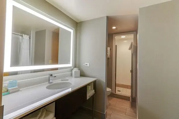 Oda, 1 En Büyük (King) Boy Yatak, Sigara İçilmez (Conference Suite)