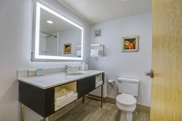 Oda, 1 En Büyük (King) Boy Yatak, Sigara İçilmez (Conference Suite)
