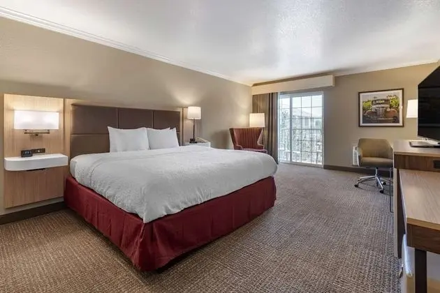 Standard Oda, 1 En Büyük (King) Boy Yatak, Manzaralı