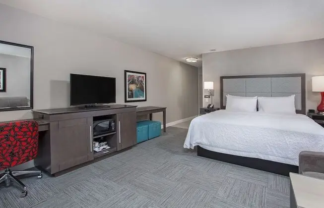 Oda, 1 En Büyük (King) Boy Yatak, Buzdolabı ve Mikrodalga