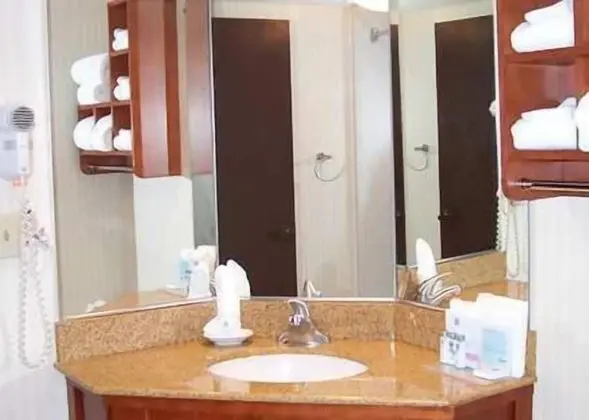 Oda, Engellilere Uygun, Sigara İçilmez (Roll-In Shower)