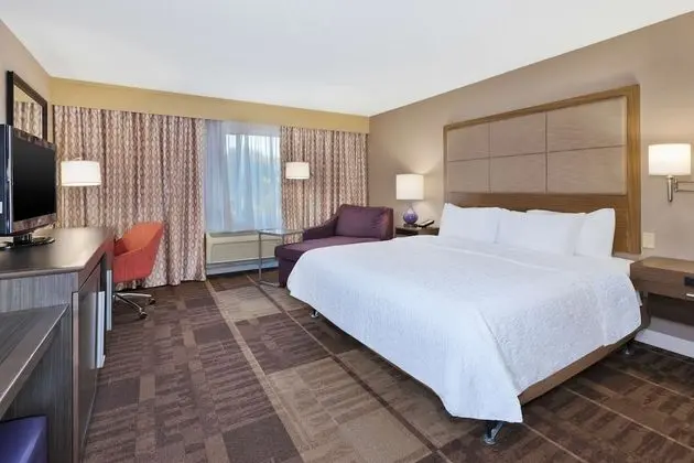 Oda, 1 En Büyük (King) Boy Yatak, Engellilere Uygun, Sigara İçilmez