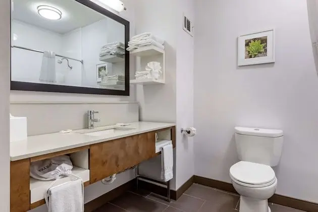 Oda, 1 En Büyük (King) Boy Yatak, Engellilere Uygun, Sigara İçilmez