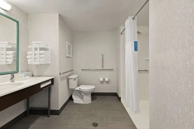 Room, 1 King Bed, Accessible (Bathtub)