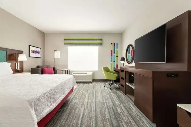 Room, 1 King Bed with Sofa bed, Accessible (Bathtub)