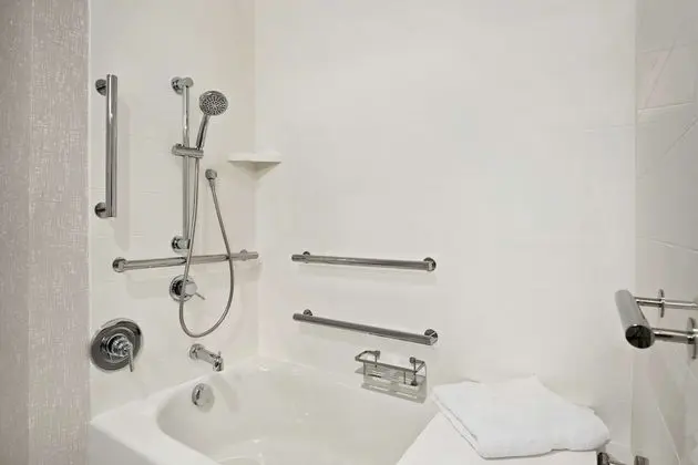 Room, 1 King Bed with Sofa bed, Accessible (Bathtub)
