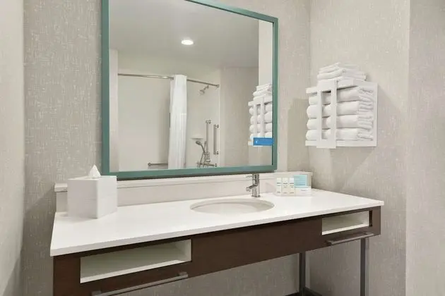 Room, 1 King Bed with Sofa bed, Accessible (Bathtub)