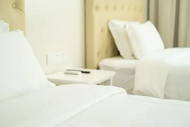 Executive Tek Büyük Yataklı Oda, 2 Çift Kişilik Yatak, Buzdolabı, Şehir Manzaralı