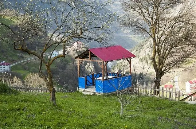 Aile Odası - Üç Kişilik