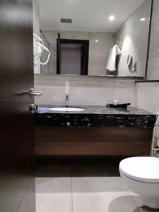 Executive Oda, 1 Yatak Odası, Sigara İçilmez, Şehir Manzaralı
