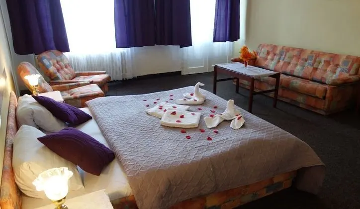 Tek Büyük Yataklı Oda (Spa Package)