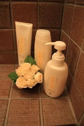 Traditional Sıra Ev