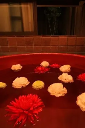 Traditional Sıra Ev