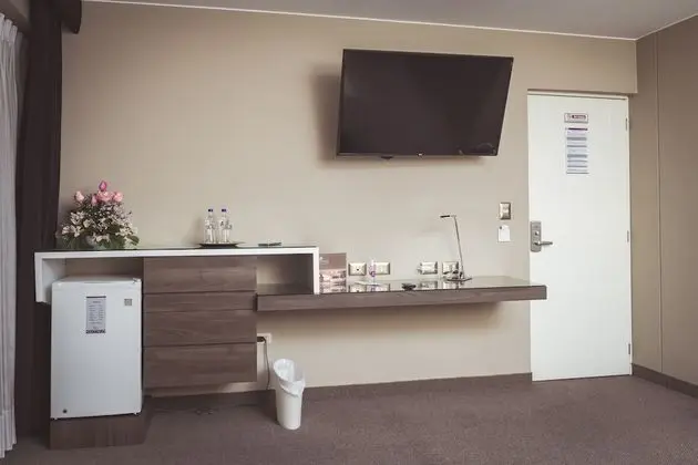 Executive Tek Büyük Yataklı Oda, 1 Büyük (Queen) Boy Yatak, Şehir Manzaralı
